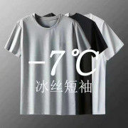 7173 -7C～冰絲短袖T /超強彈性/降溫涼爽