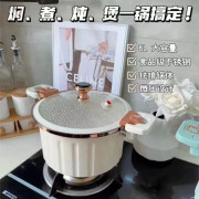 8402 韓式不粘燜煮煲雙耳琺瑯微壓鍋